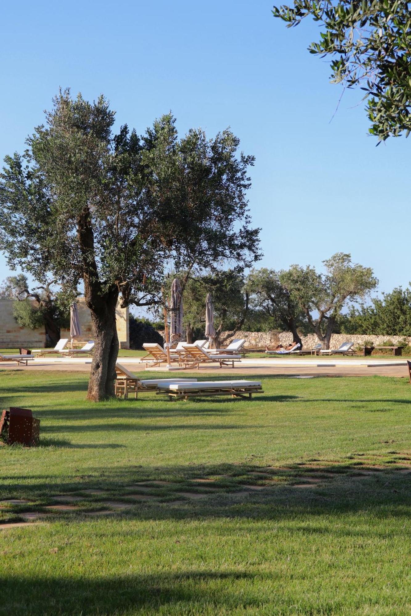 Farm stay Secolario Masseria Del Viverbene *